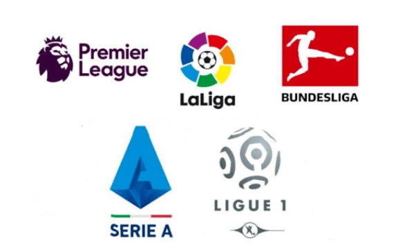 应对对手的 应对对手的